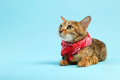 Cute Bengal cat with red bandana on light blue background, space for text