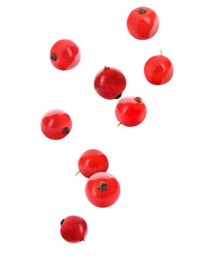 Image of Fresh red currants falling on white background