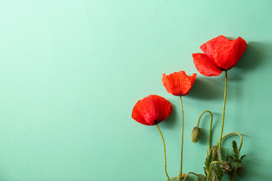 Photo of Beautiful red poppy flowers on light blue background, flat lay. Space for text