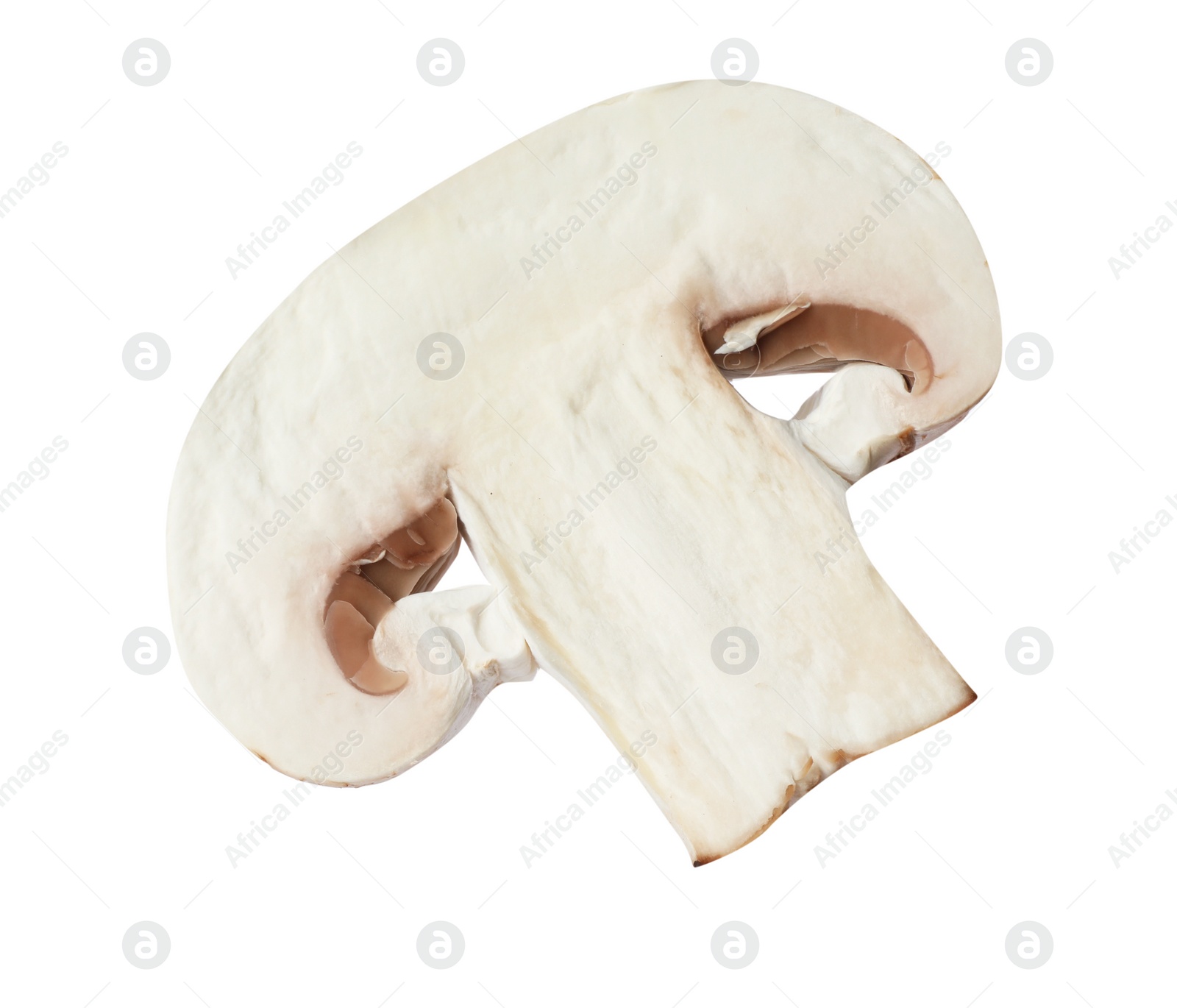 Photo of Piece of fresh mushroom on white background