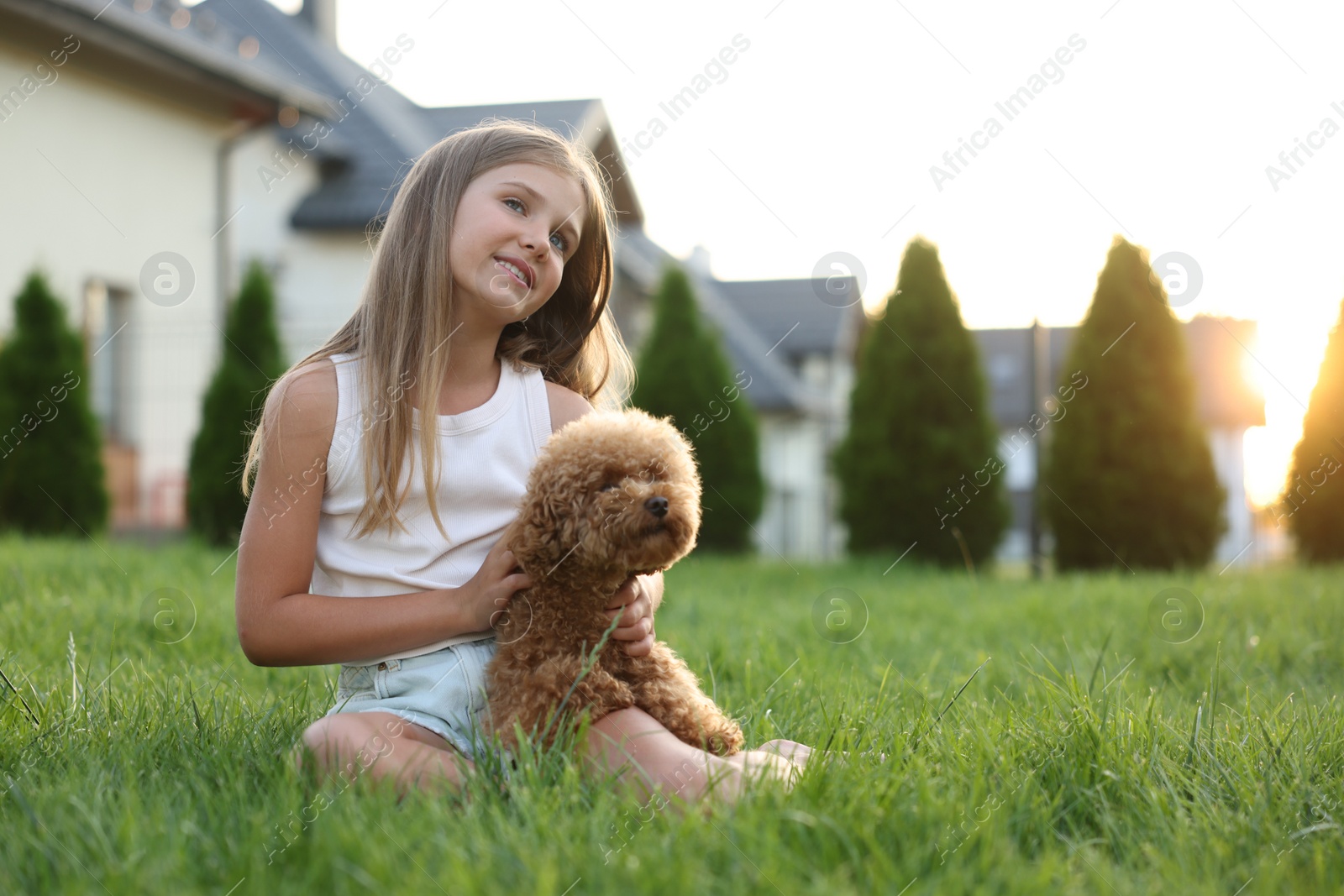 Photo of Beautiful girl with cute Maltipoo dog on green lawn in backyard