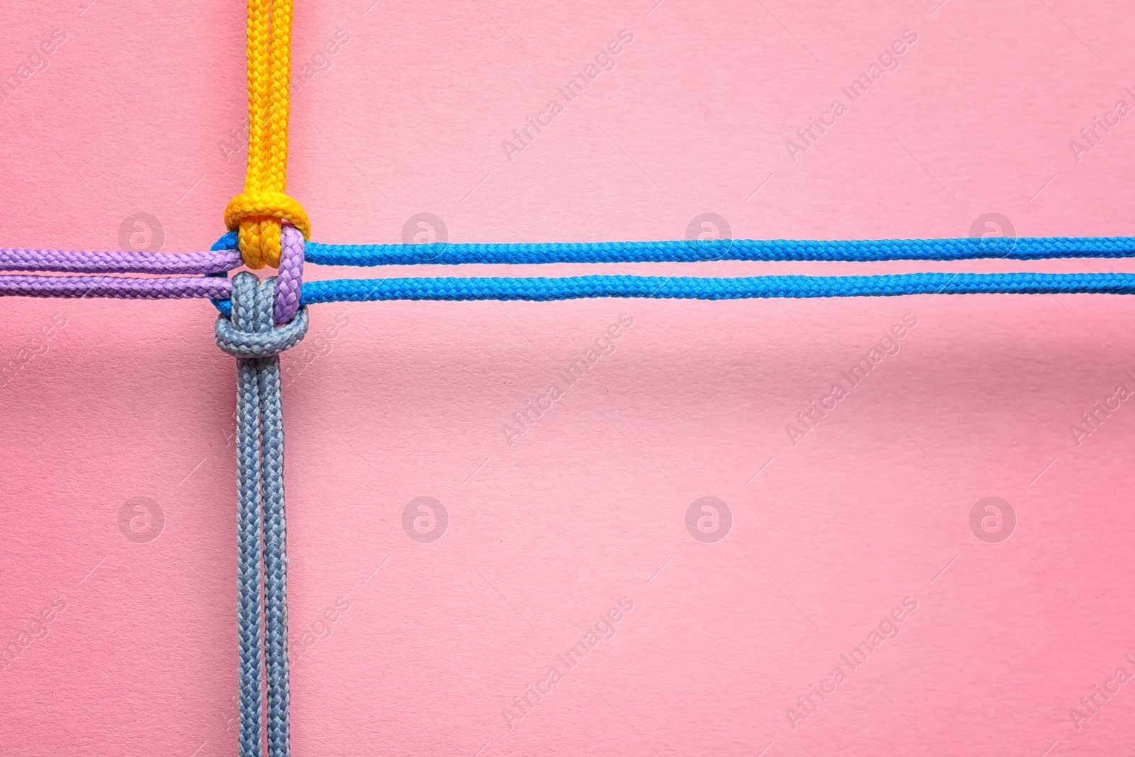 Photo of Different ropes tied together with knot on color background. Unity concept