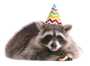 Image of Cute racoon with party hat on white background