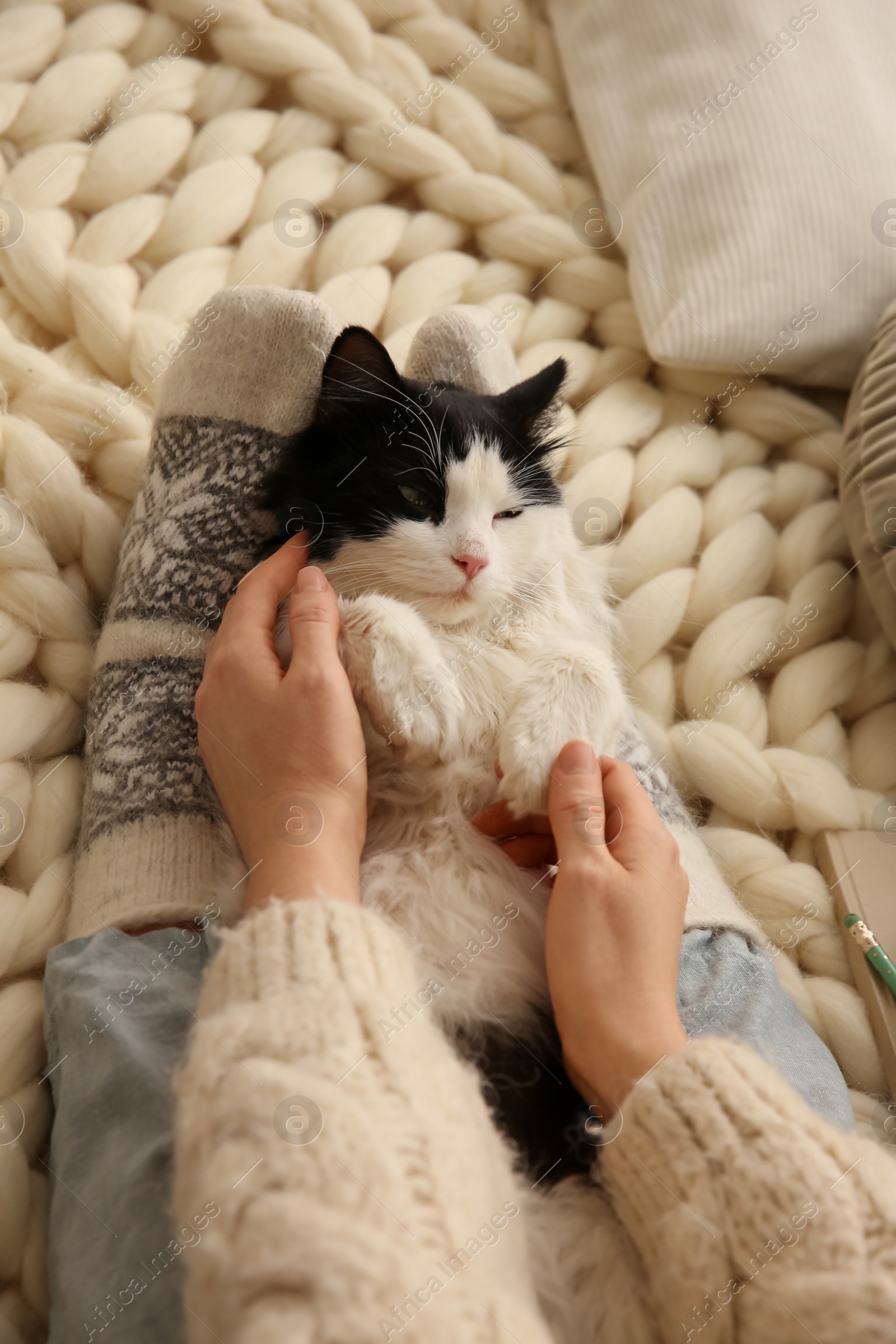 Photo of Woman stroking adorable cat on knitted blanket, closeup
