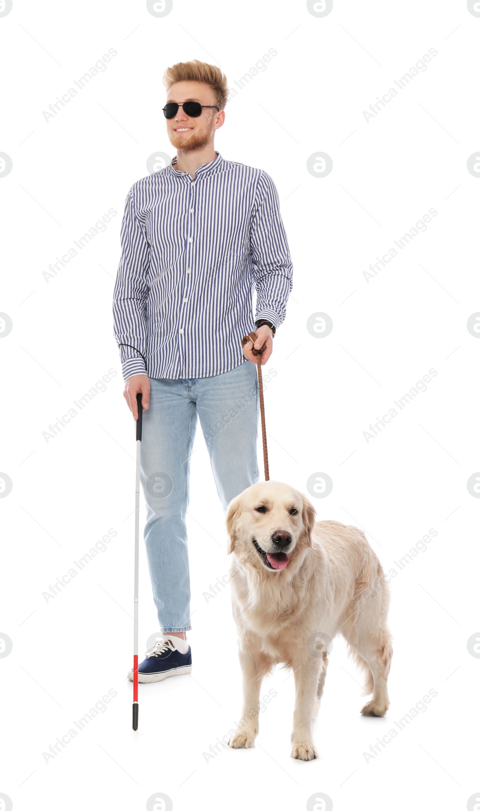 Photo of Blind person with long cane and guide dog on white background