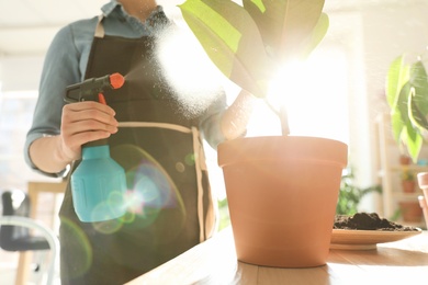 Photo of Woman taking care of home plant indoors, closeup