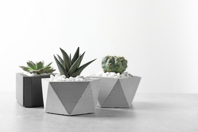 Photo of Beautiful succulent plants in stylish flowerpots on table against white background. Home decor