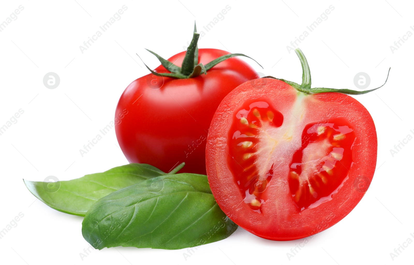 Photo of Fresh green basil leaves with cut and whole tomatoes on white background