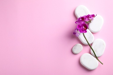 Photo of Orchid with spa stones on pink background, flat lay. Space for text