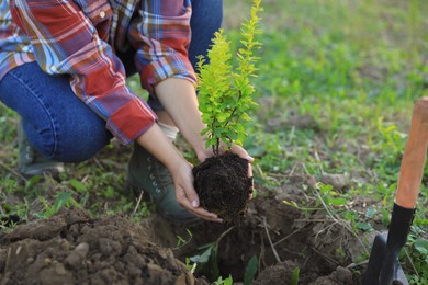 Woman planting tree in countryside, closeup view