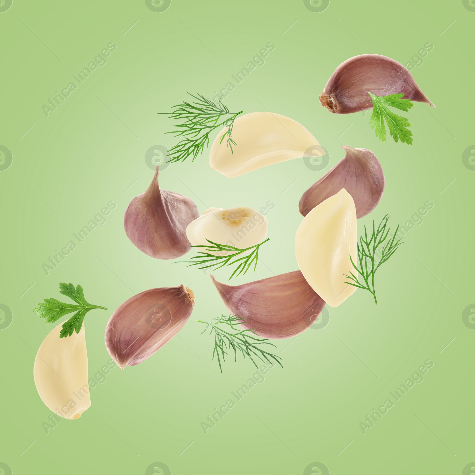 Image of Fresh garlic cloves, parsley and dill falling on green background