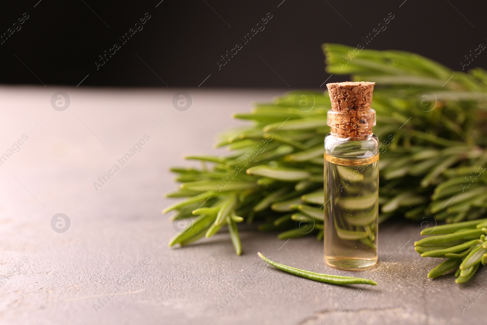 Photo of Essential oil in bottle and rosemary on grey table, space for text