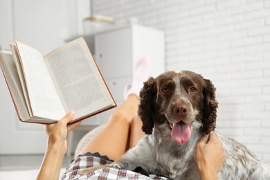 Photo of Adorable Russian Spaniel with owner indoors, closeup view