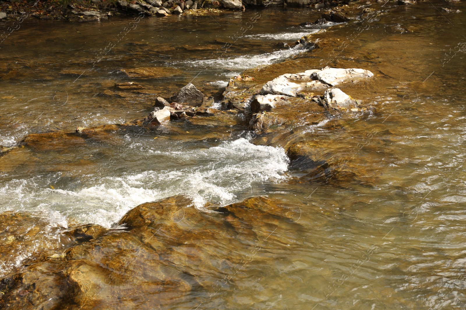 Photo of Picturesque view on beautiful river with rapids