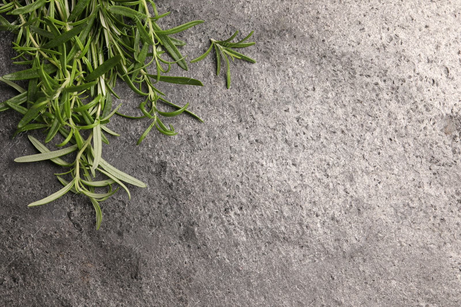 Photo of Aromatic green rosemary sprigs on stone table, top view. Space for text