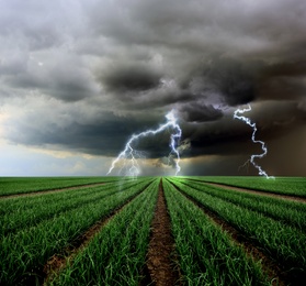 Image of Picturesque thunderstorm over field. Dark cloudy sky with lightnings