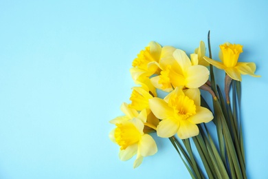 Bouquet of daffodils on color background, top view with space for text. Fresh spring flowers