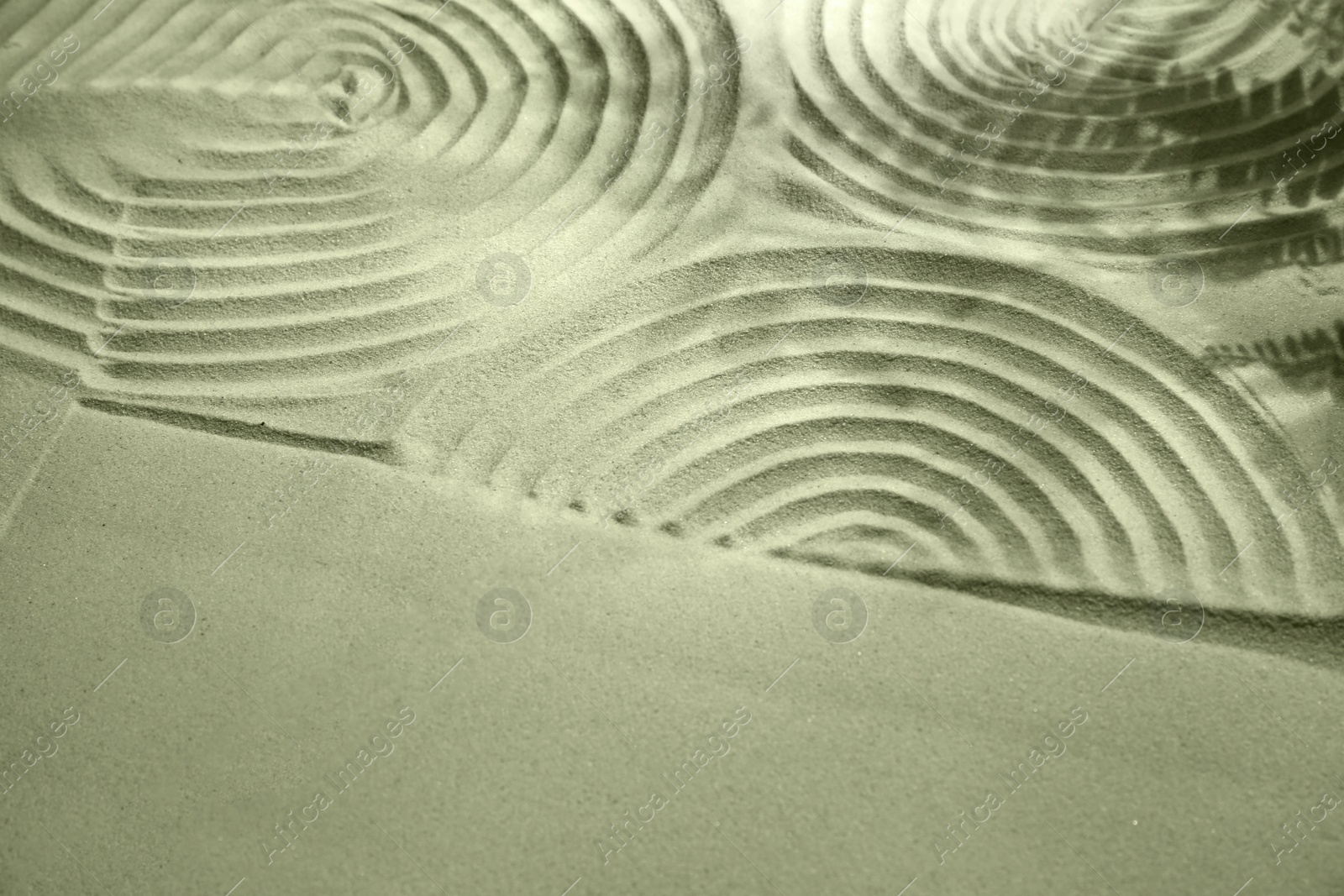 Photo of Beautiful patterns and shadows of leaves on sand, space for text. Zen garden