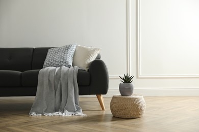 Stylish living room interior with comfortable grey sofa and beautiful plant