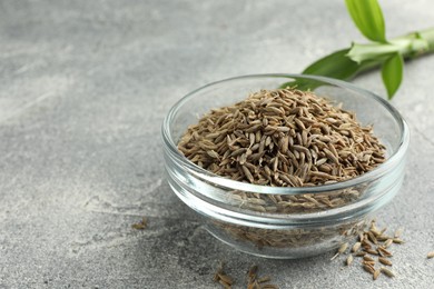 Photo of Bowl of caraway seeds on grey table, closeup. Space for text