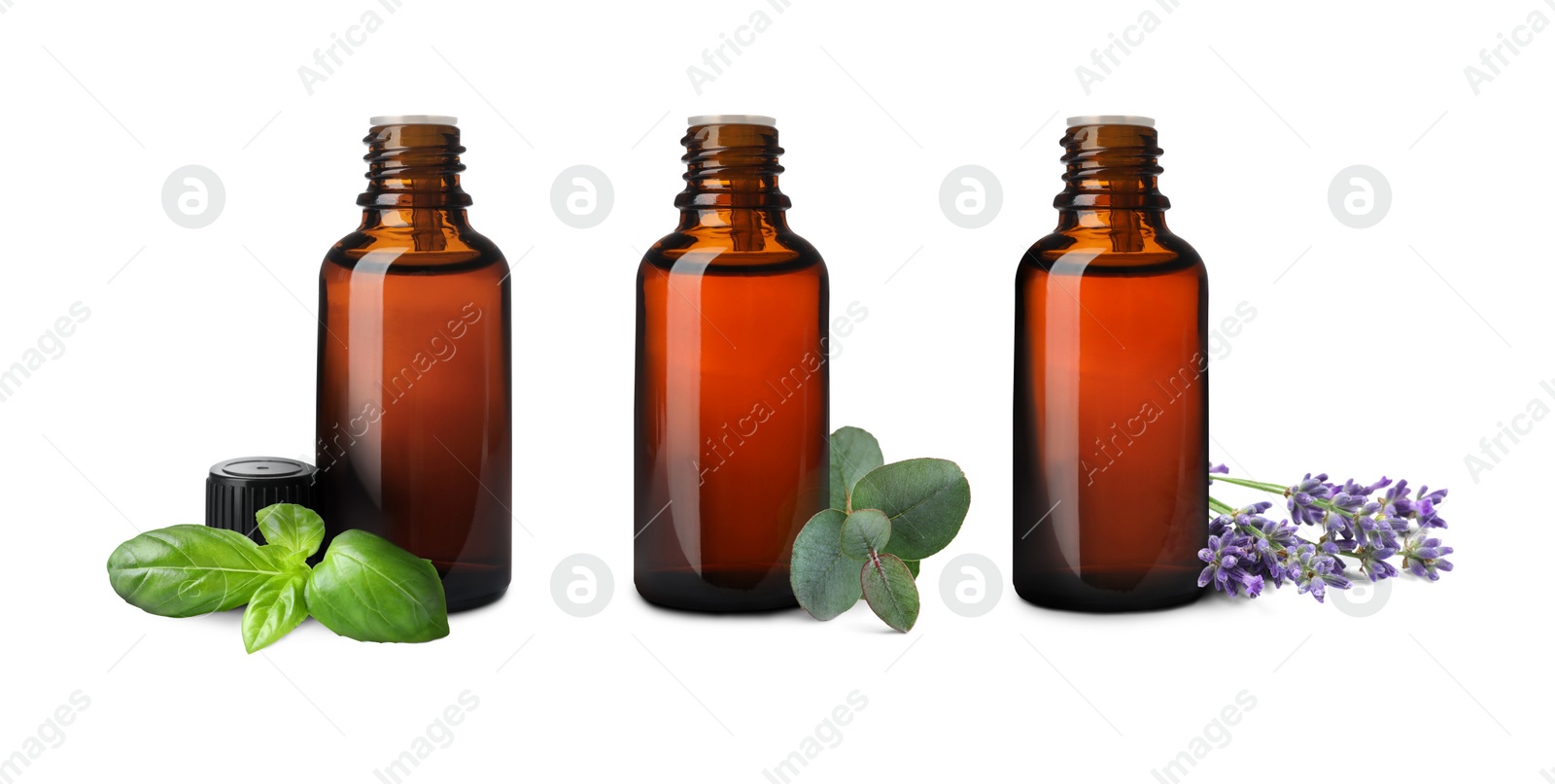 Image of Set of different essential oils in bottles and ingredients on white background