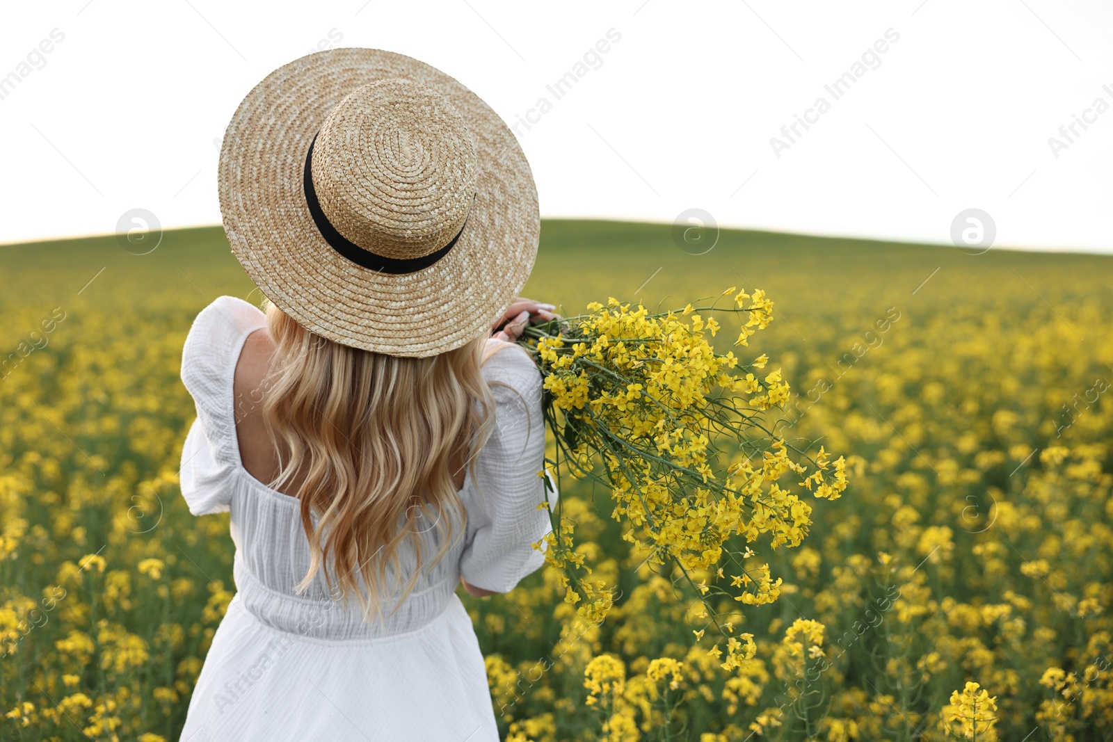 Photo of Young woman with straw hat in field on spring day, back view