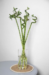 Vase with beautiful green bamboo stems on light grey table near white wall