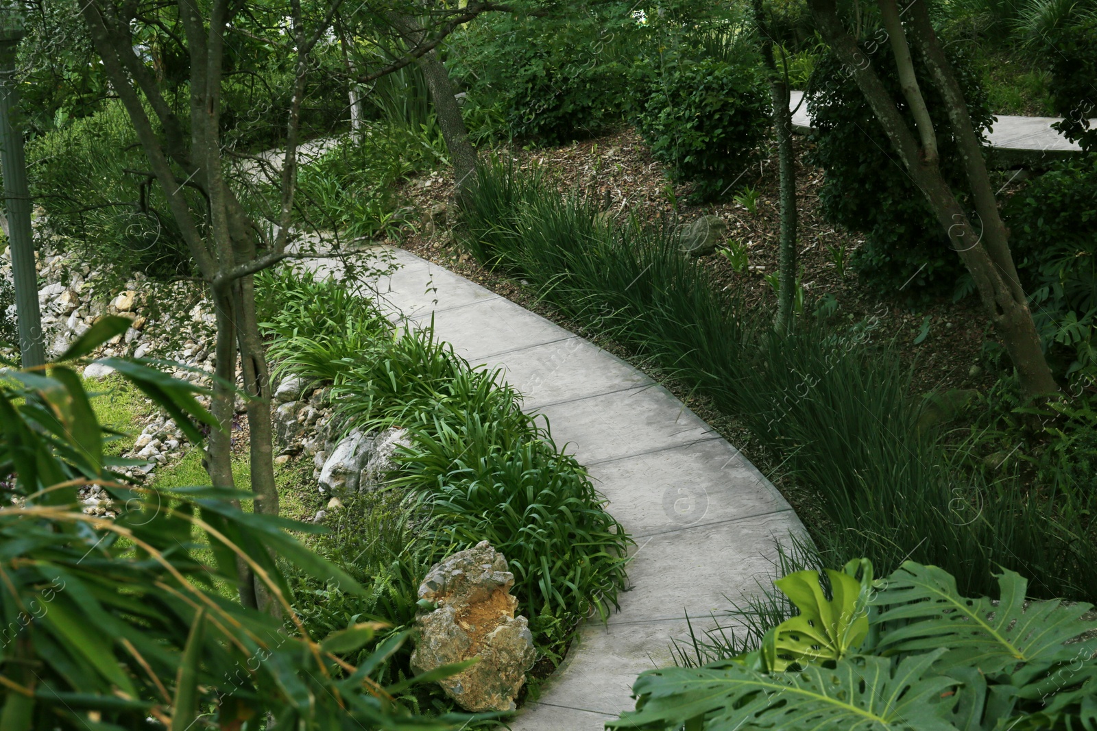 Photo of Beautiful view of park with green plants