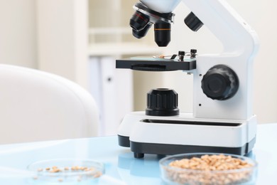 Photo of Food quality control. Microscope and petri dishes with wheat grains in laboratory