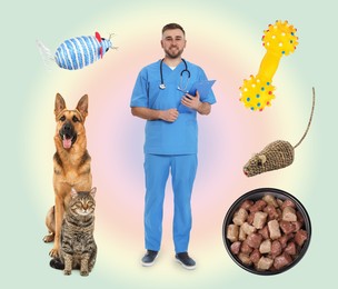 Collage with photos of veterinarian doc, pets, food and toys on color background