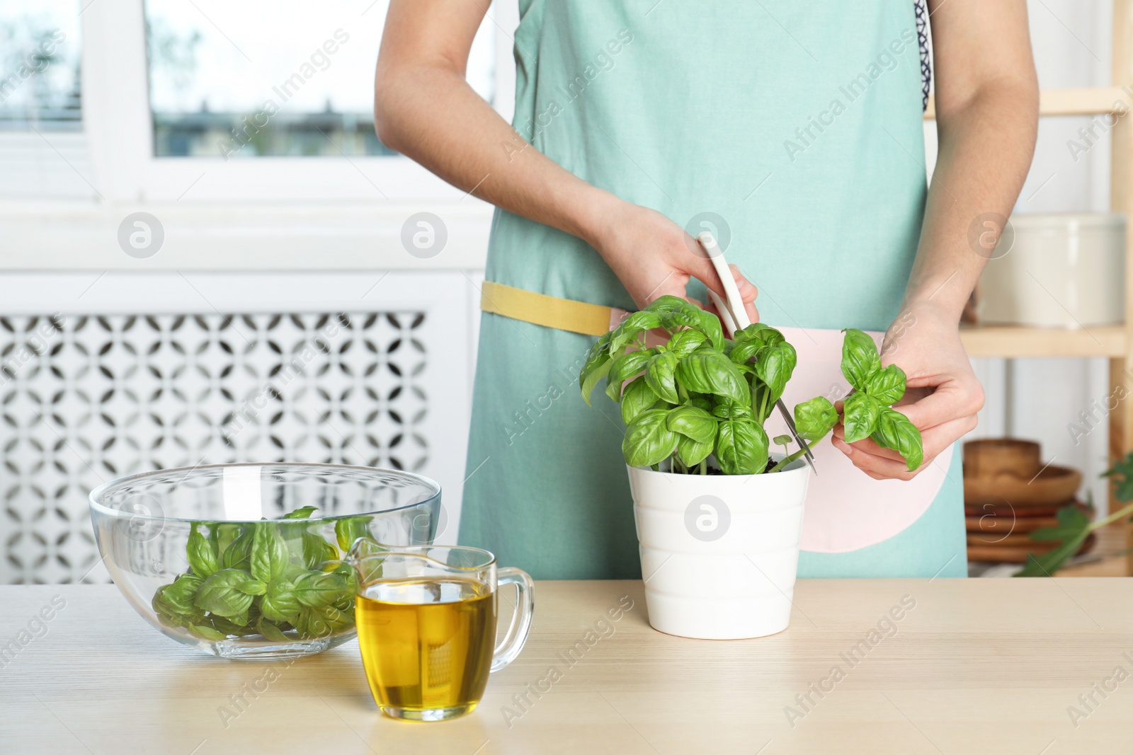 Photo of Woman cutting green basil in pot at kitchen table