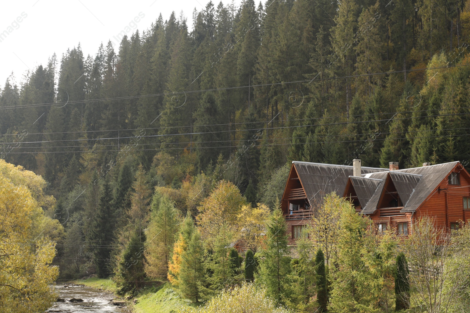 Photo of Beautiful view of forest and mountain village on autumn day