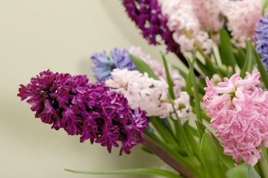 Photo of Beautiful spring hyacinth flowers on color background, closeup