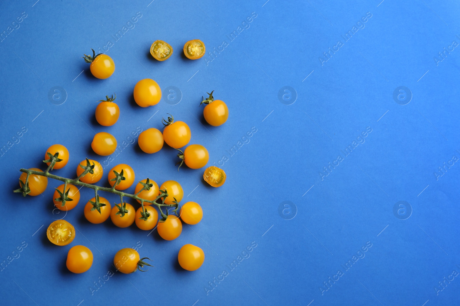 Photo of Yellow tomatoes on blue background, flat lay. Space for text