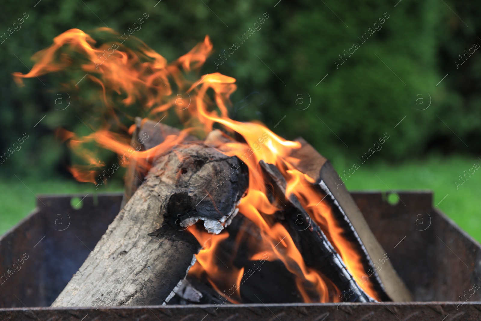 Photo of Metal brazier with burning firewood outdoors, closeup