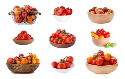 Image of Set of different ripe tomatoes on white background