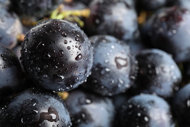 Photo of Fresh ripe juicy black grapes as background, closeup view