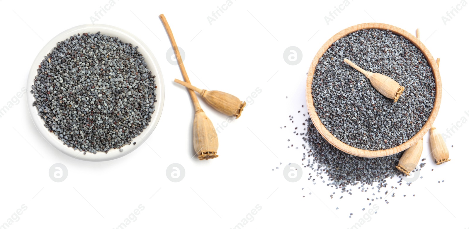 Image of Collage with poppy seeds and dry pods on white background, top view. Banner design