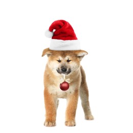 Image of Adorable puppy in Santa hat holding red Christmas ball isolated on white