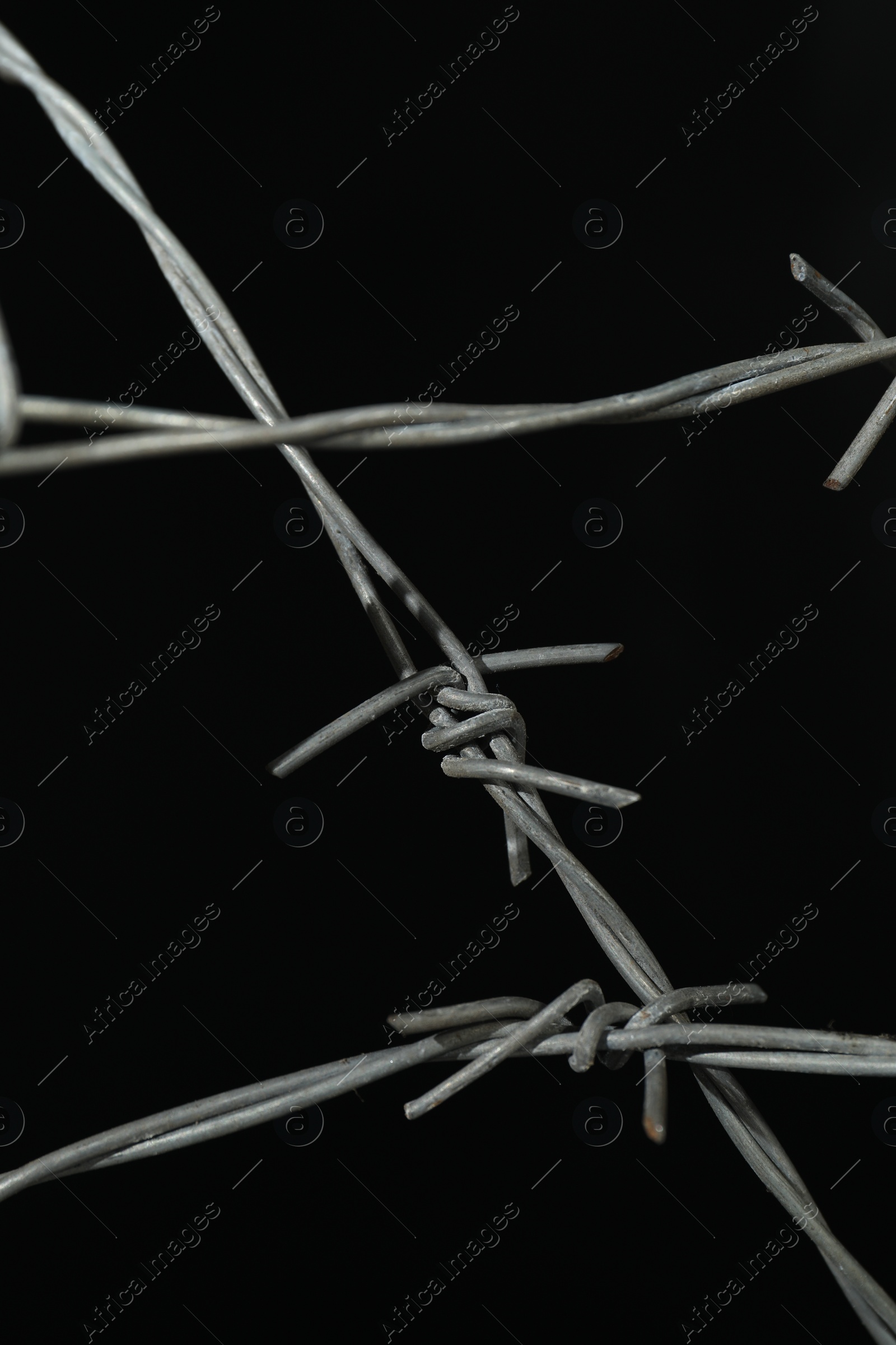 Photo of Metal barbed wire on black background, closeup