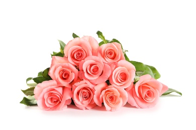 Bouquet of beautiful roses on white background