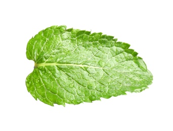 Photo of Fresh green mint leaf on white background