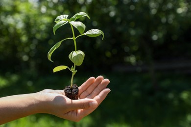 Photo of Woman holding beautiful seedling against blurred background, closeup. Space for text