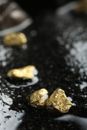 Shiny gold nuggets on wet stones, closeup