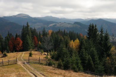 Photo of Beautiful view of mountain landscape with forest, pathway and fence on sunny autumn day