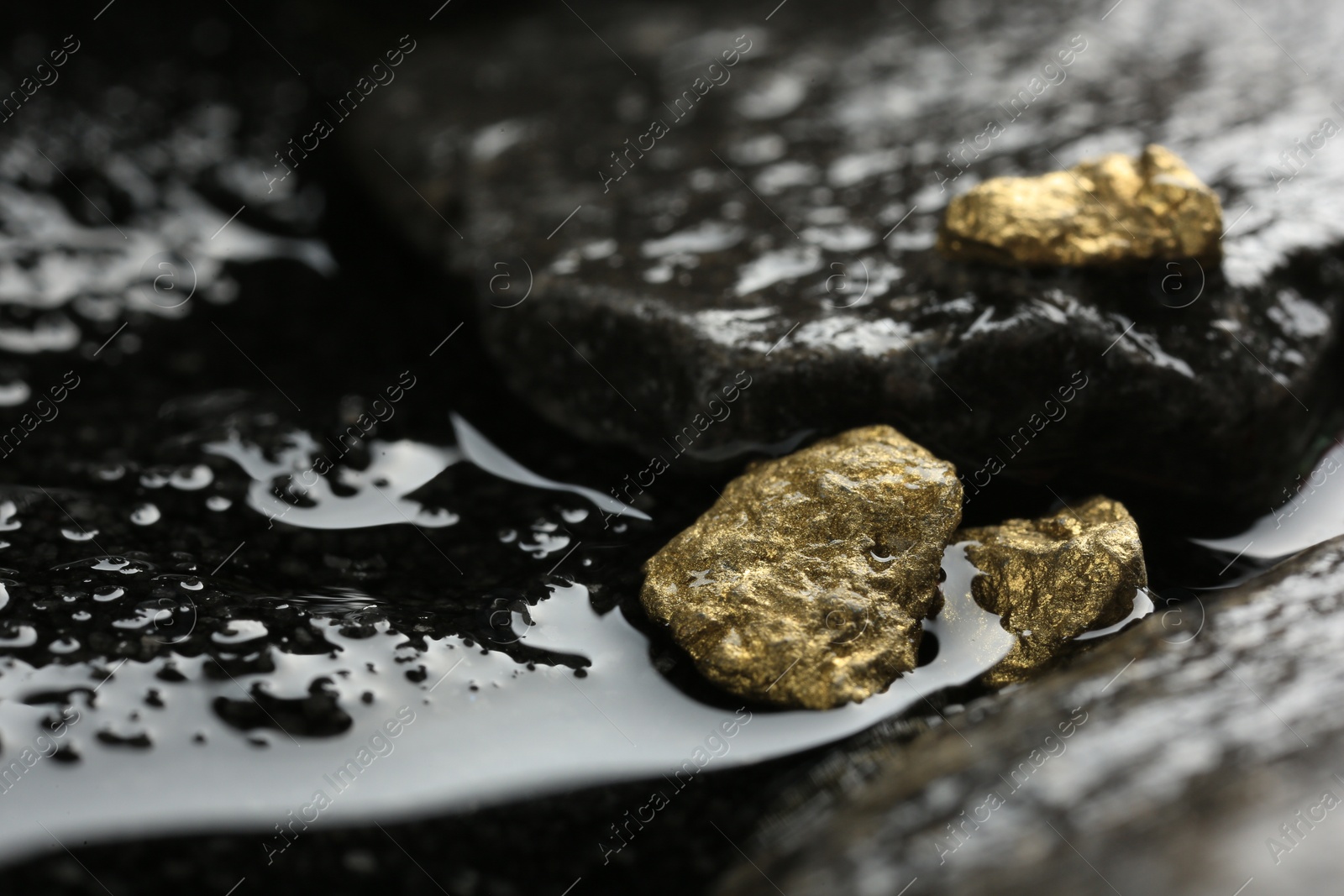 Photo of Shiny gold nuggets on wet stones, closeup