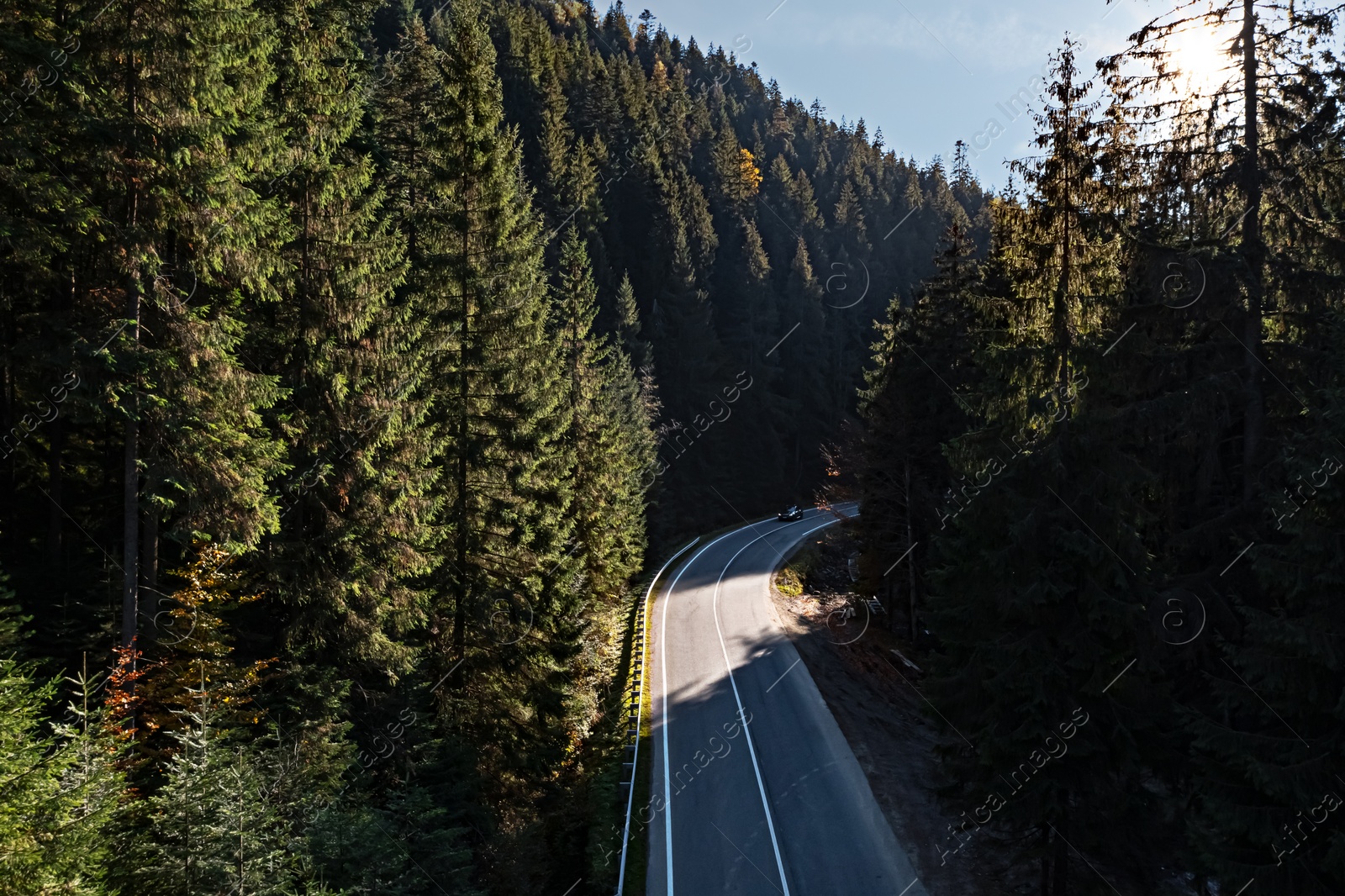 Image of Asphalt road surrounded by coniferous forest on sunny day. Drone photography