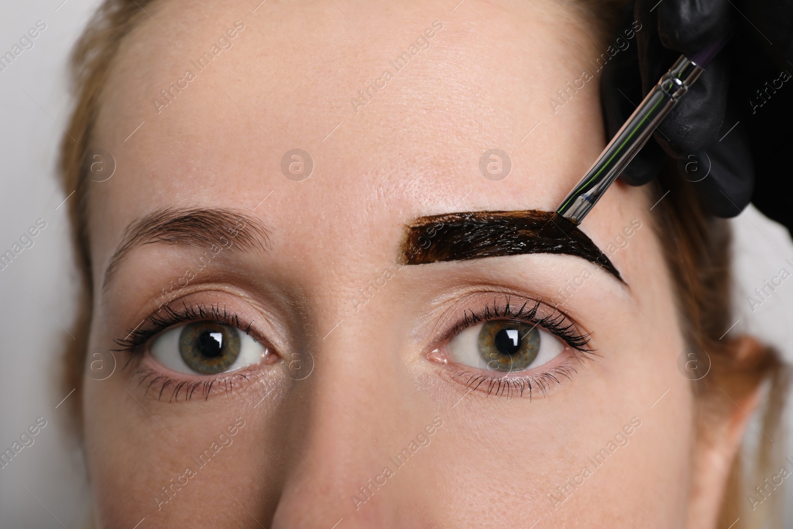 Photo of Beautician applying tint during eyebrows correction procedure on light grey background, closeup