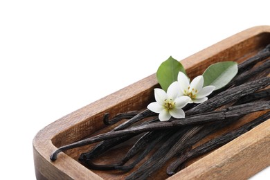 Photo of Vanilla pods, green leaves and flowers isolated on white