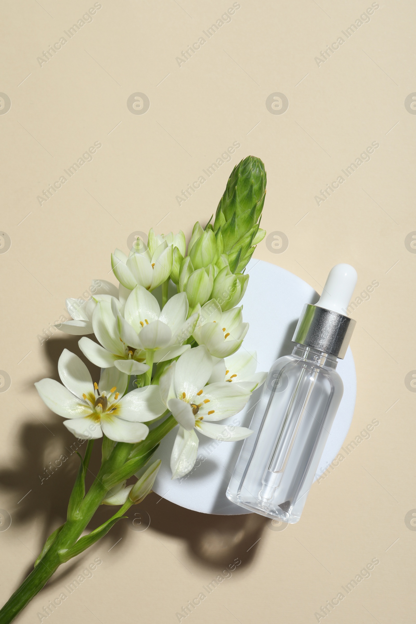 Photo of Bottle of cosmetic oil and flowers on beige background, top view